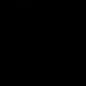 Meet your Posher, Gabriel